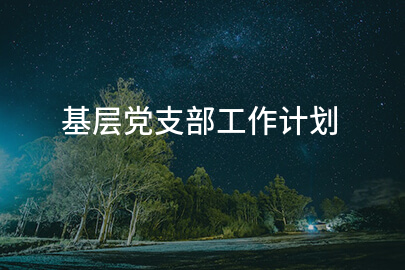 基层党支部工作计划