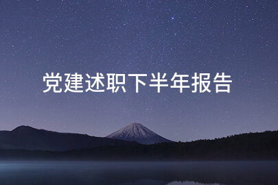 党建述职下半年报告