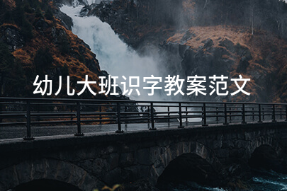 幼儿大班识字教案范文