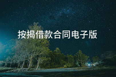 按揭借款合同电子版