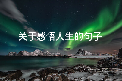 关于感悟人生的句子