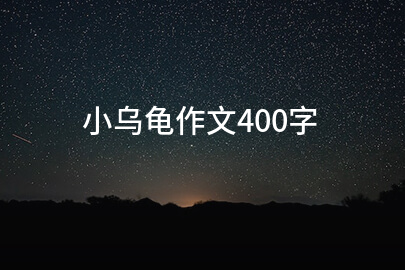 小乌龟作文400字