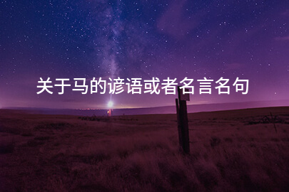 关于马的谚语或者名言名句