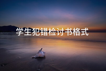学生犯错检讨书格式
