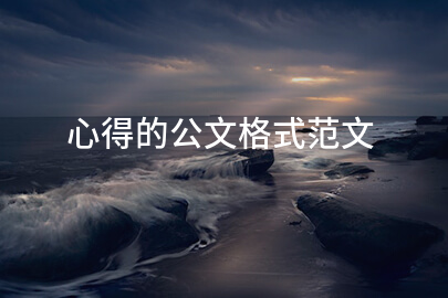 心得的公文格式范文