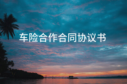 车险合作合同协议书