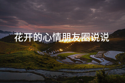花开的心情朋友圈说说