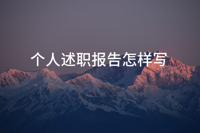 个人述职报告怎样写