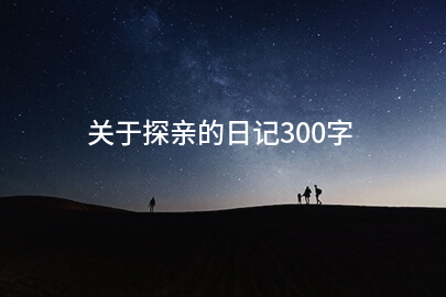 关于探亲的日记300字
