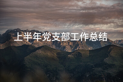 上半年党支部工作总结