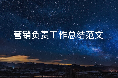 营销负责工作总结范文