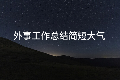 外事工作总结简短大气