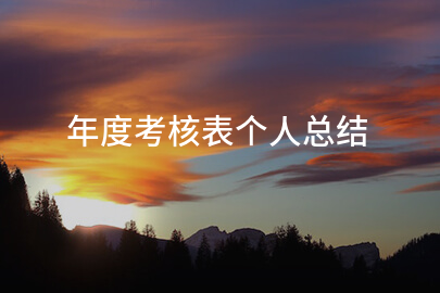 年度考核表个人总结