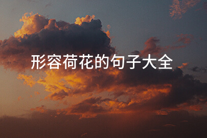 形容荷花的句子大全
