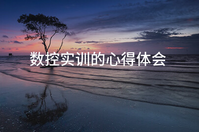 数控实训的心得体会