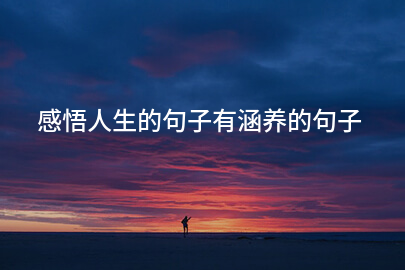 感悟人生的句子有涵养的句子