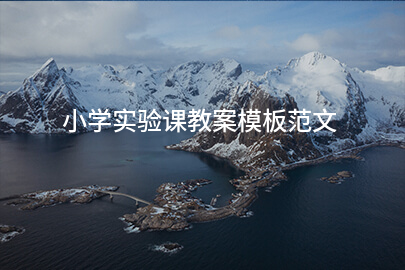 小学实验课教案模板范文