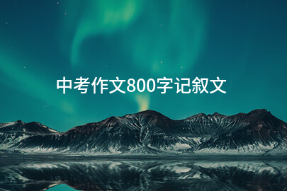中考作文800字记叙文