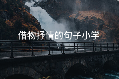 借物抒情的句子小学