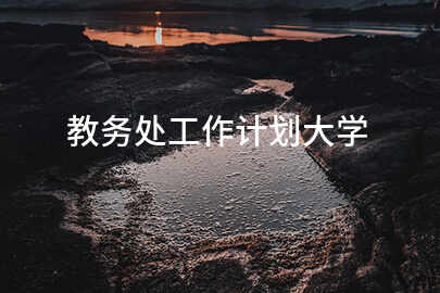 教务处工作计划大学