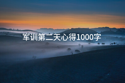 军训第二天心得1000字