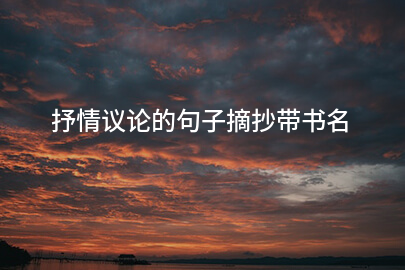 抒情议论的句子摘抄带书名
