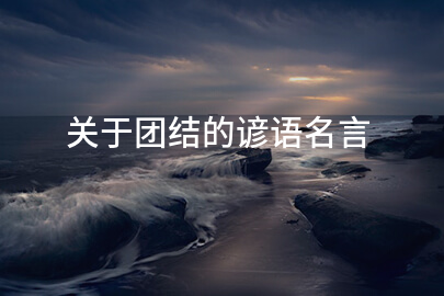 关于团结的谚语名言