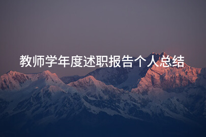 教师学年度述职报告个人总结