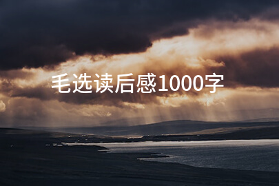 毛选读后感1000字