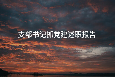 支部书记抓党建述职报告