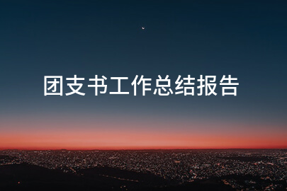 团支书工作总结报告