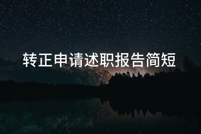转正申请述职报告简短