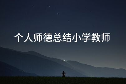 个人师德总结小学教师