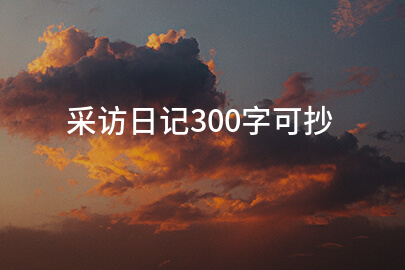 采访日记300字可抄