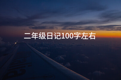 二年级日记100字左右