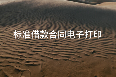 标准借款合同电子打印