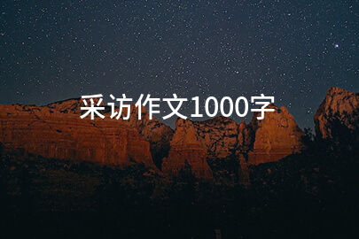 采访作文1000字