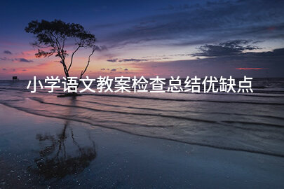 小学语文教案检查总结优缺点
