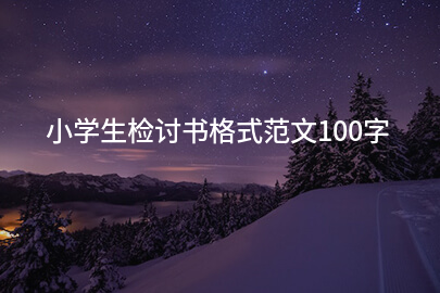 小学生检讨书格式范文100字