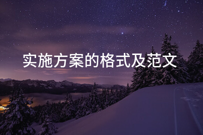 实施方案的格式及范文