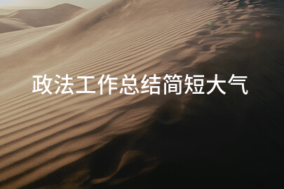 政法工作总结简短大气
