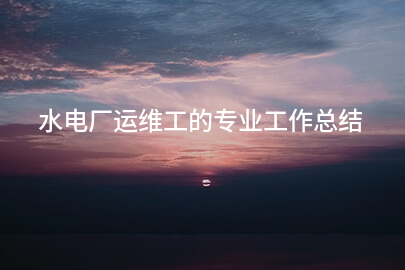 水电厂运维工的专业工作总结