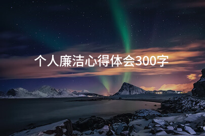 个人廉洁心得体会300字