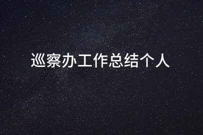 巡察办工作总结个人