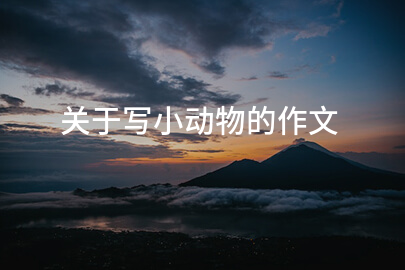 关于写小动物的作文