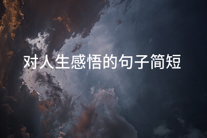 对人生感悟的句子简短