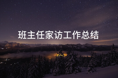 班主任家访工作总结