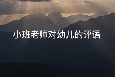 小班老师对幼儿的评语
