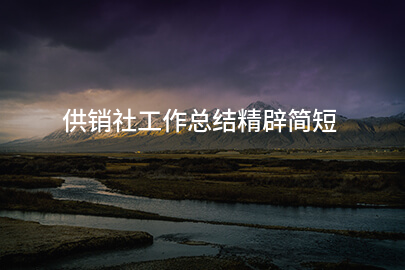 供销社工作总结精辟简短
