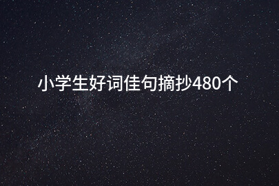 小学生好词佳句摘抄480个